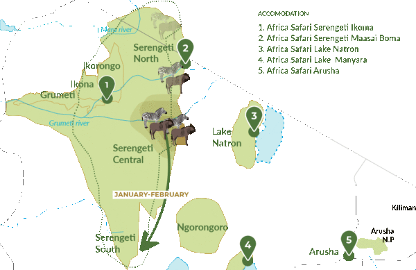Wildebeest Migration special & Tanzania northern circuit