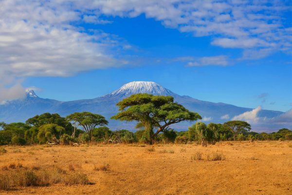 Africa Safari Kilimanjaro