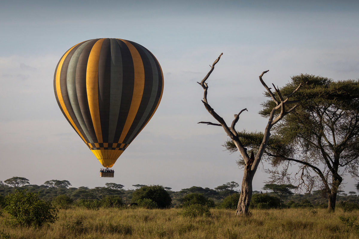 Hot air Balloon Safari Tarangire