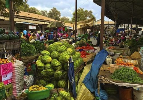 Village walk + market tour – Mto wa Mbu