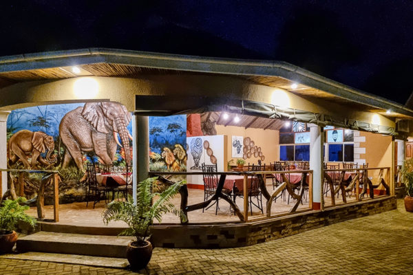 africa safari arusha gallery