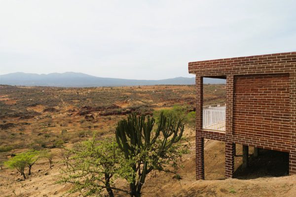 Africa Safari