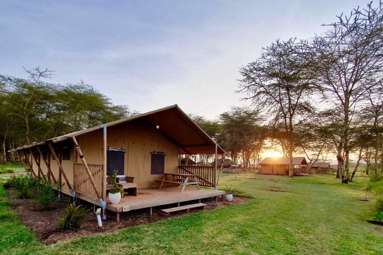 Discover Africa Safari Lake Manyara Lodge - Africa Safari