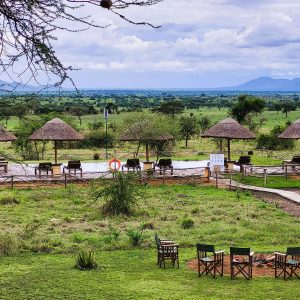 africa safari serengeti ikoma pool 03