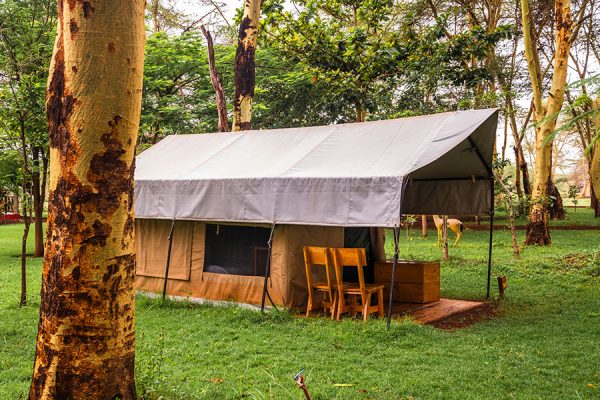 africa-safari-tent-01