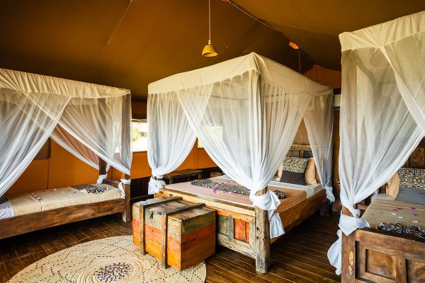 asln Safari Luxury Glamping : Air-Conditioned 01