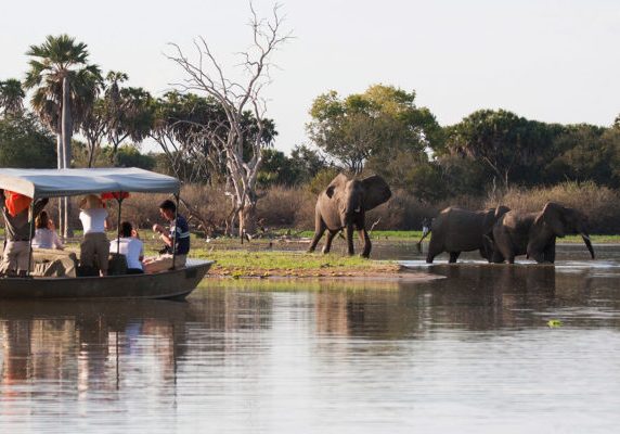 Nzerakera,Lake,,Selous,Game,Reserve,/,Tanzania,January,25th,2007:
