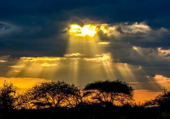 Night game drive