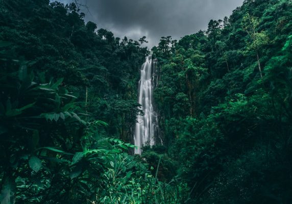 Materuni,Waterfall,In,The,Middle,Of,A,Jungle,In,Tanzania