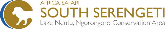 logo-south-serengeti
