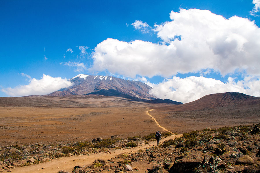 Hiking to the Top of Kilimanjaro